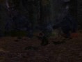 /album/fotogalerie-dicoroin-roinsson/screenshot00271-jpg/